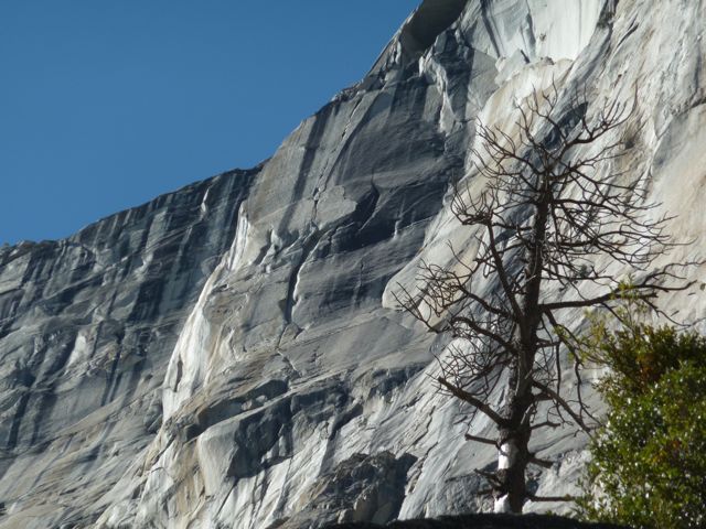 P1000909