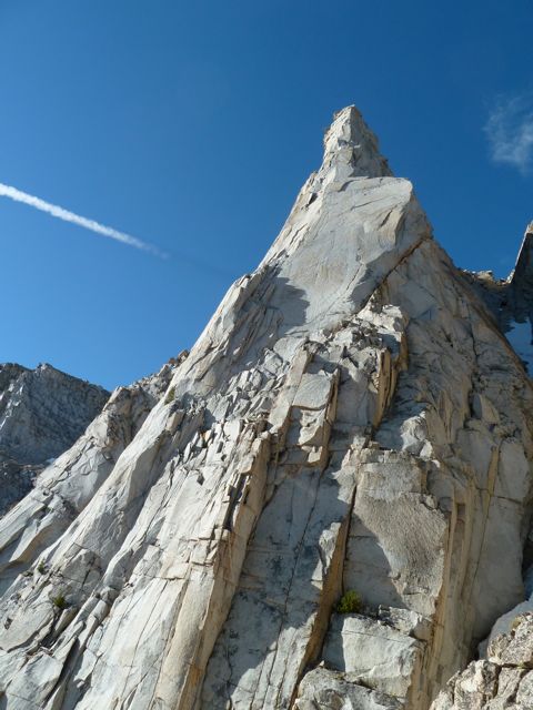 P1010021