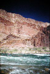 092_Andrea_ChuarRapid