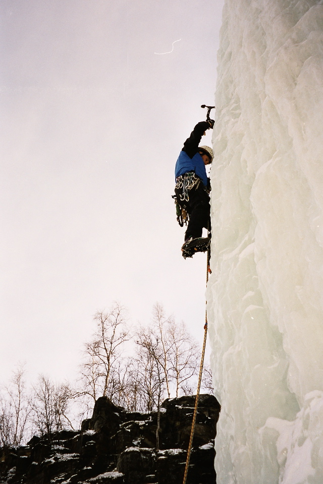 Image015_16