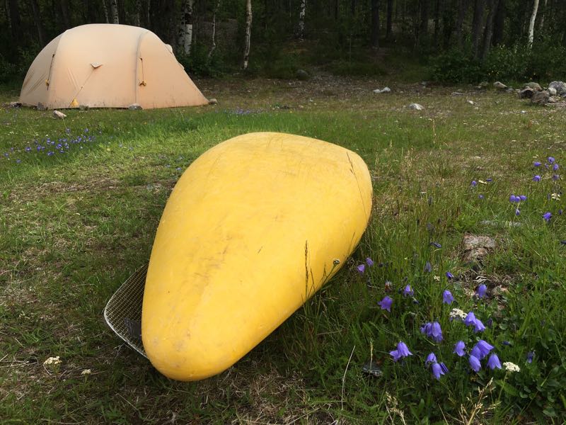 Tent_kayak_bluebells_Trollforsen_juli23_RMcG_IMG_7710