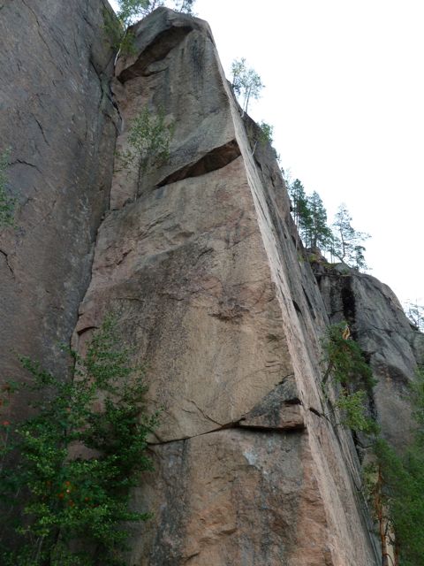 P1000341