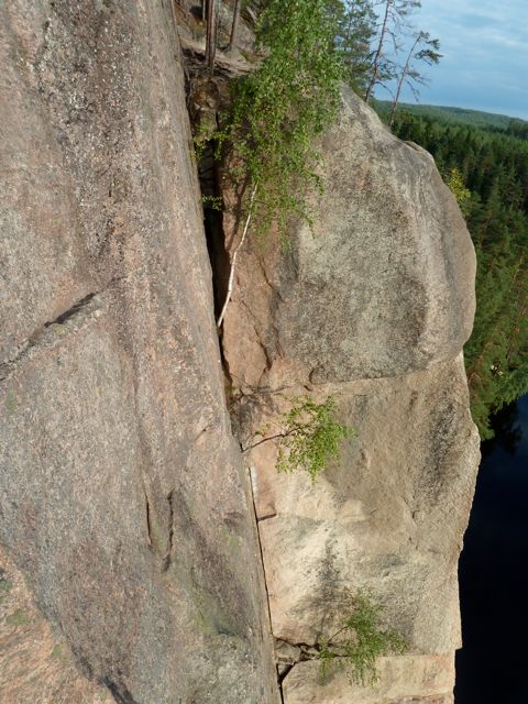 P1000357