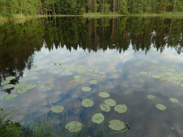 P1000375