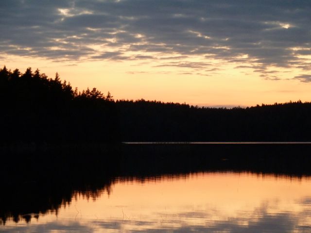 P1000398