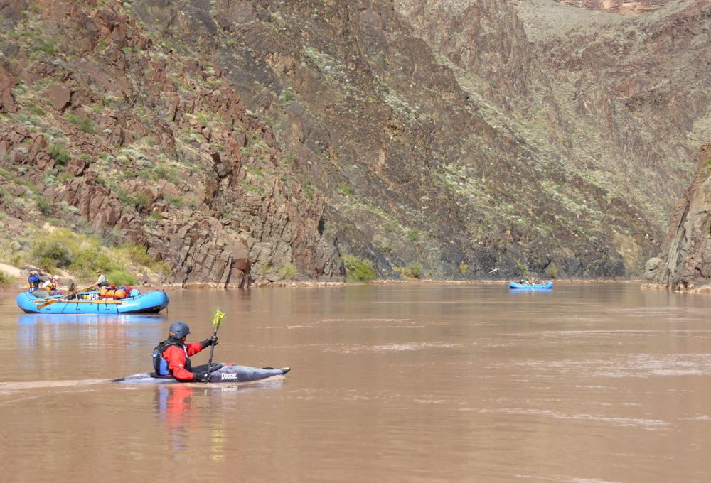P1050789cw