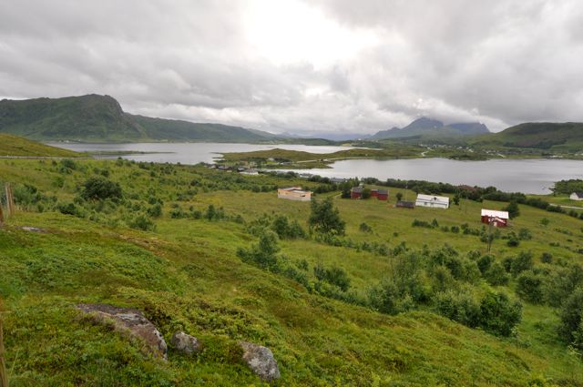 _DSC7944