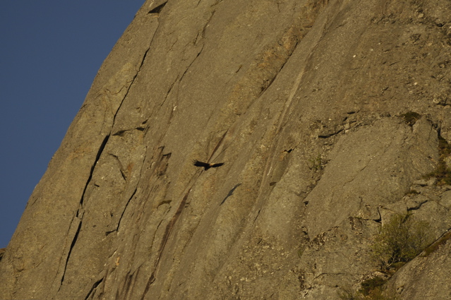 and silhouetted against the West Face of Presten