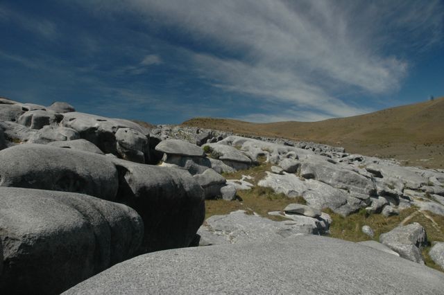 DSC_7448