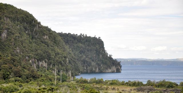 WhanganuiBay_jan11_RMcG_0467cw
