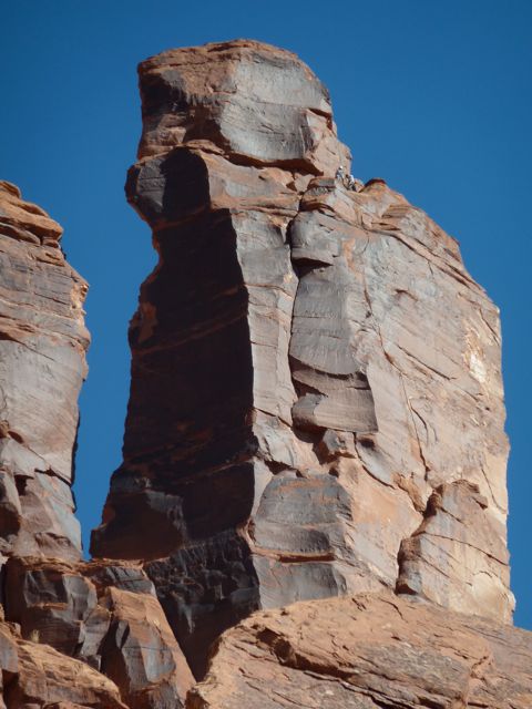 P1010357
