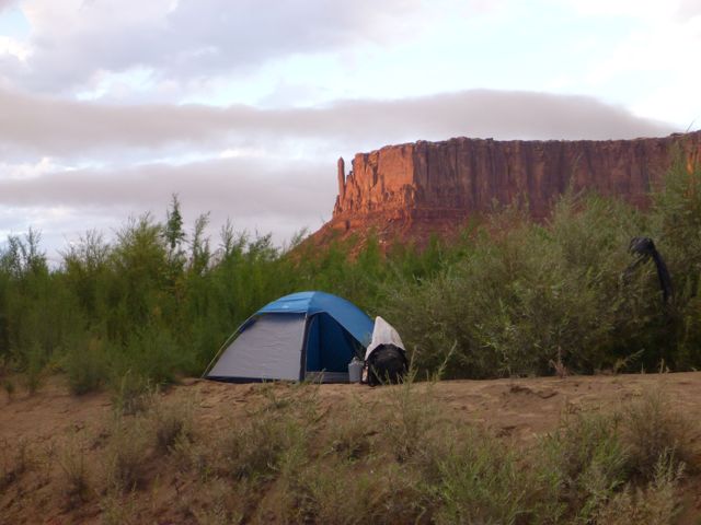 P1000331