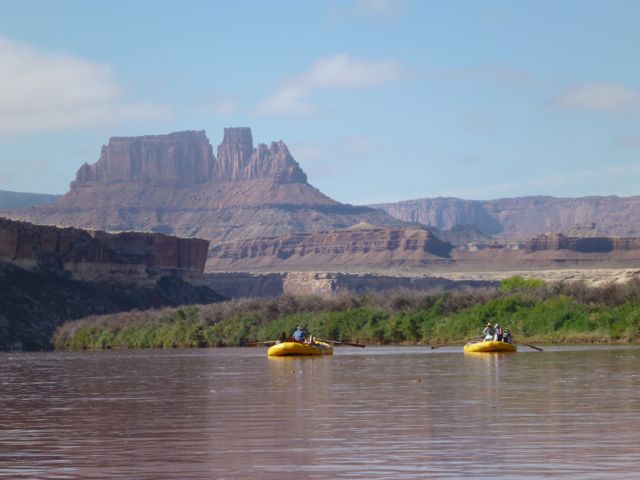 P1000377
