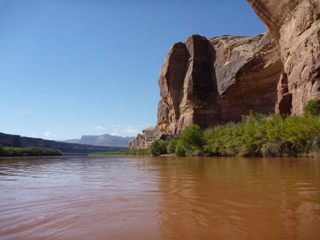 P1000391