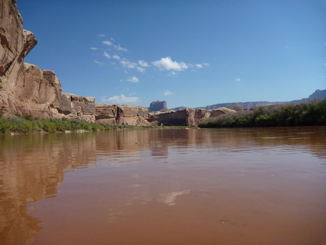 P1000392