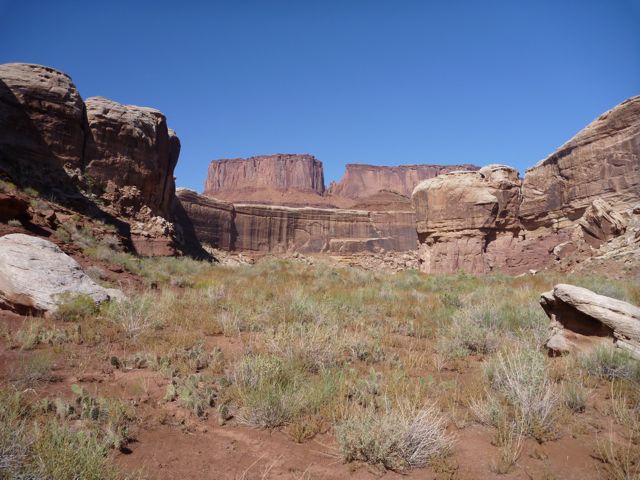 P1000411