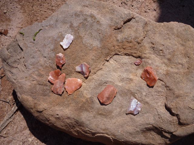 P1000415