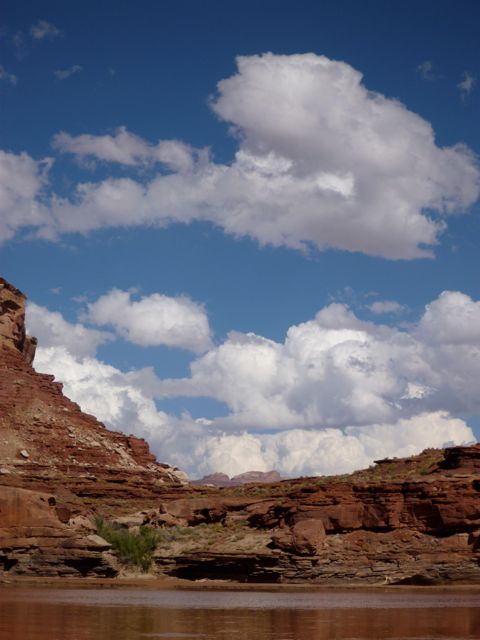 P1000429