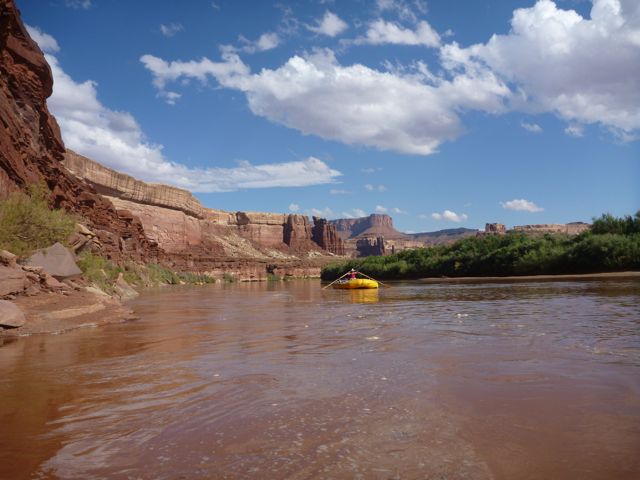 P1000445