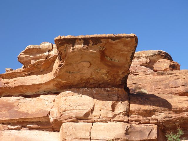 P1000509