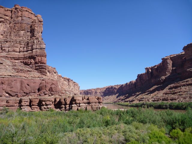 P1000531