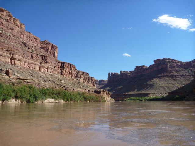 P1000547