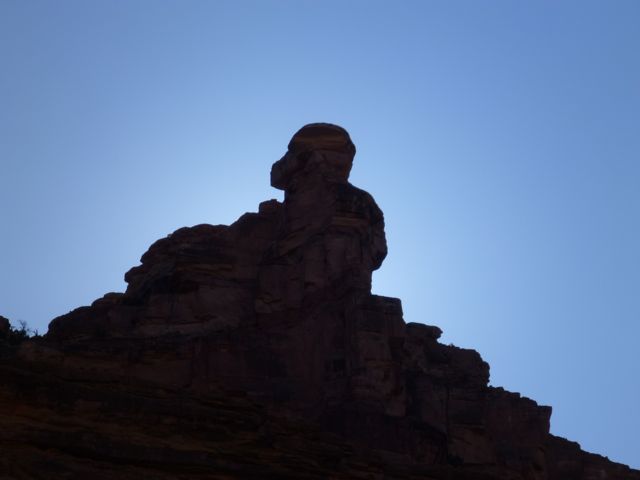 P1000552