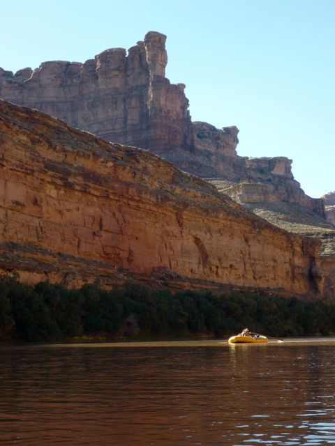 P1000563