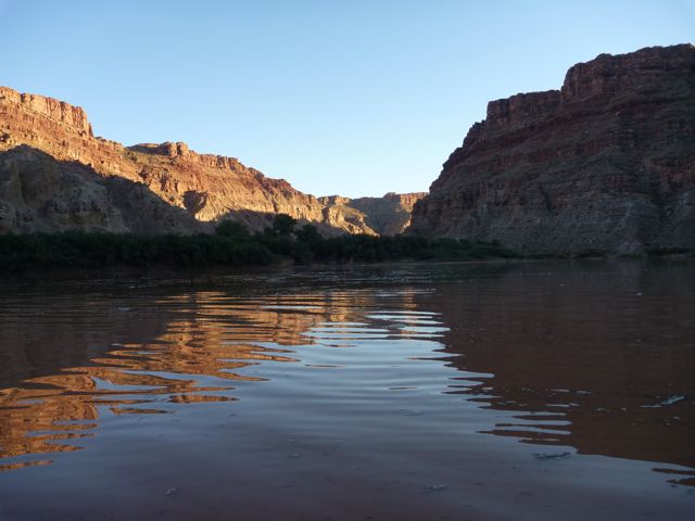 P1000599