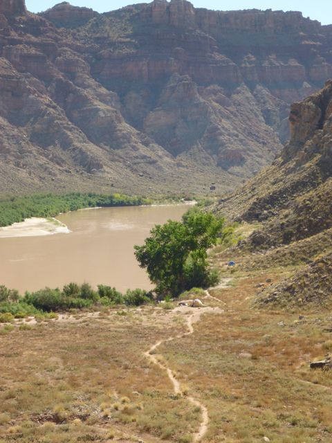 P1000615