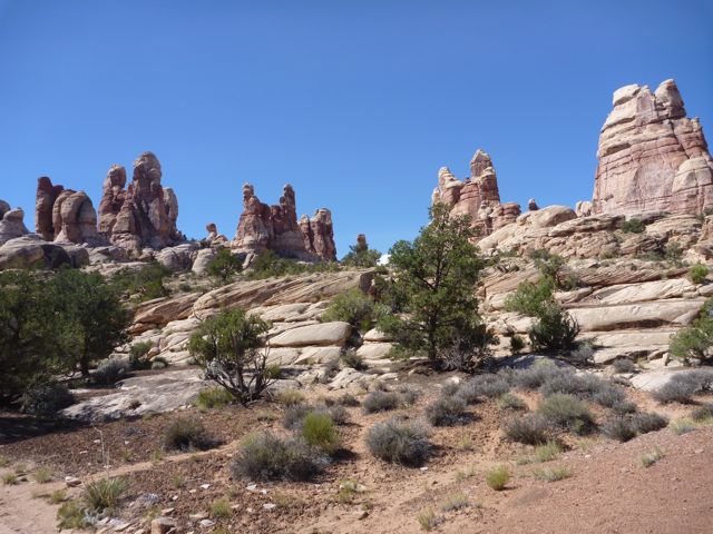 P1000631