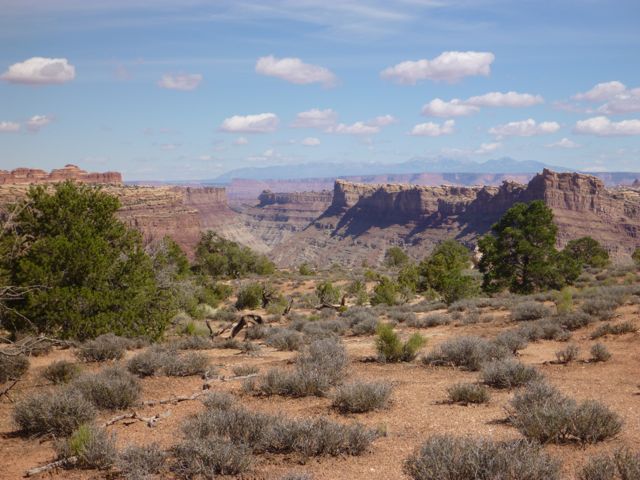 P1000667