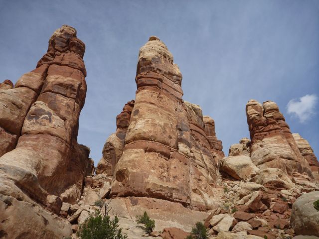 P1000675