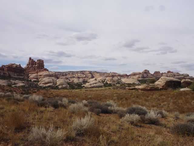 P1000681