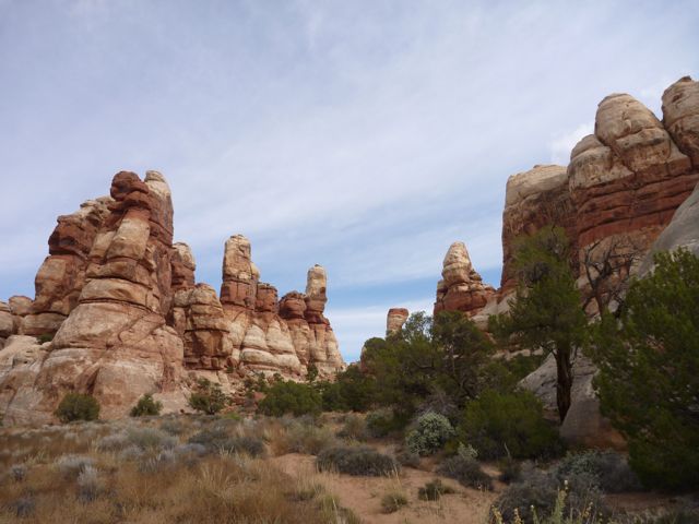 P1000689