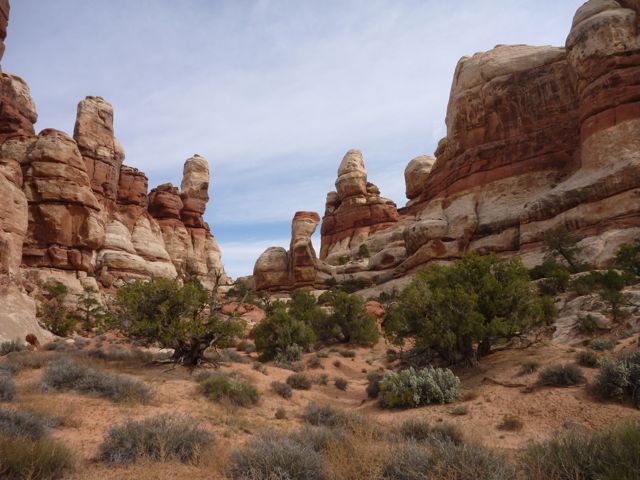 P1000694