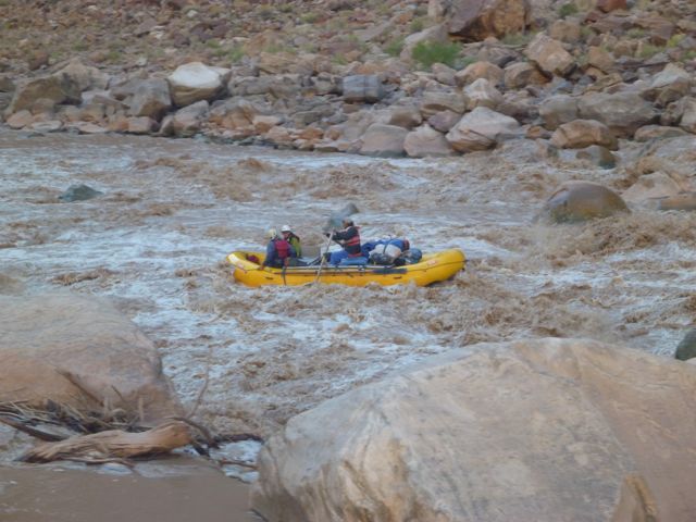 P1000810