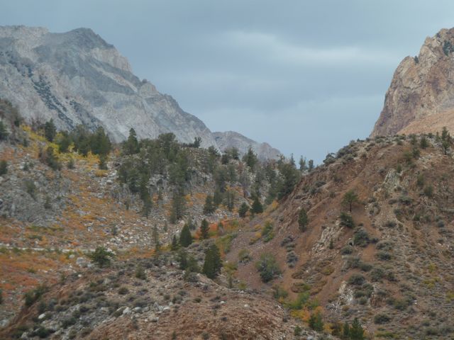 P1010076