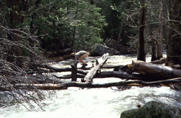 Crossing Snow Creek was a little tricky