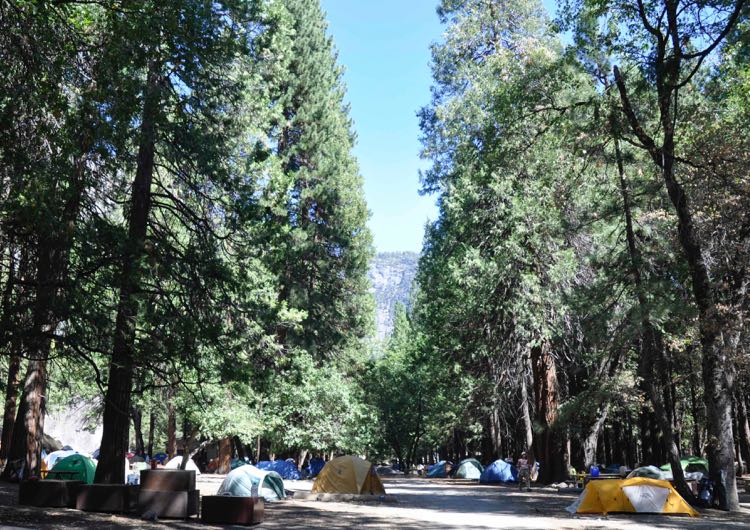 Camp4_Yosemite_oct09_RMcG_5781c